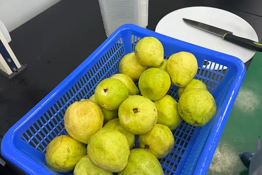 HPP Microjets Homogenizer Experiment